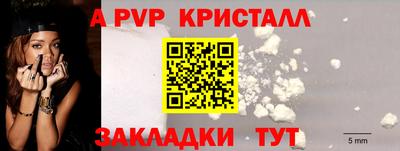 кокс Нальчик