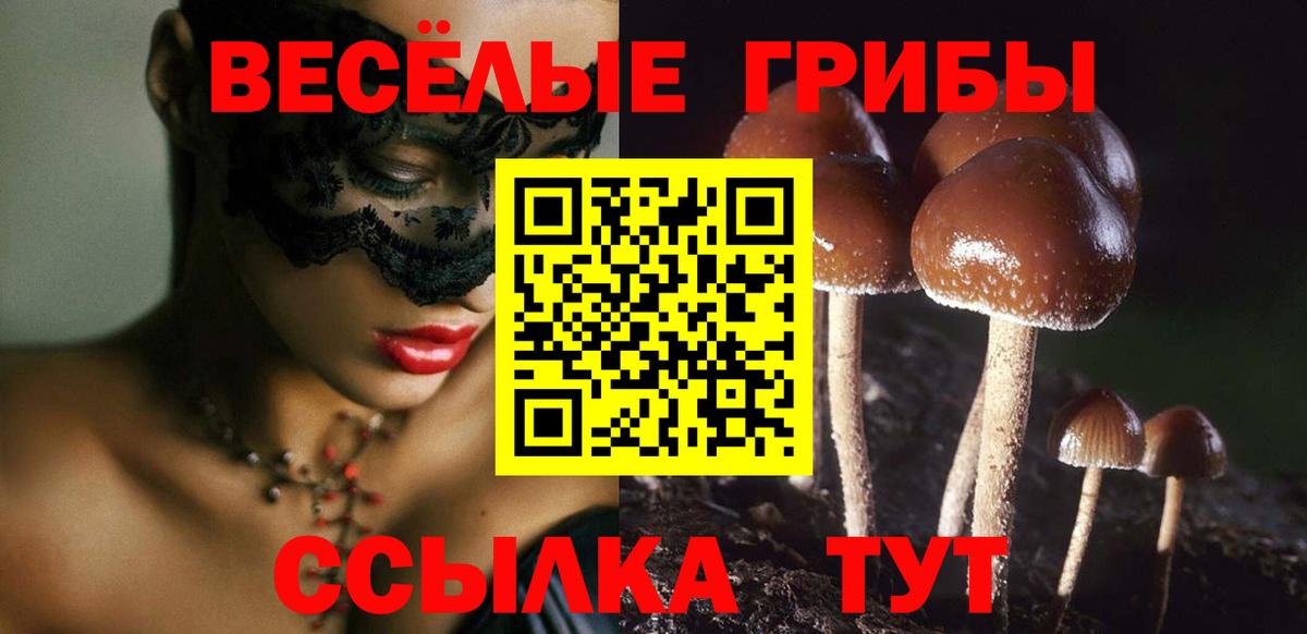 Псилоцибиновые грибы мицелий Белорецк